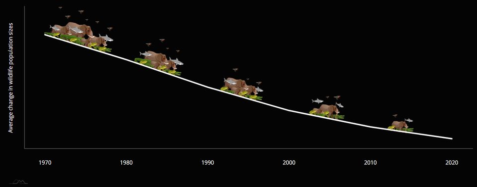 Graf: priemerná zmena veľkosti populácií voľne žijúcich živočíchov v rokoch 1970 – 2020