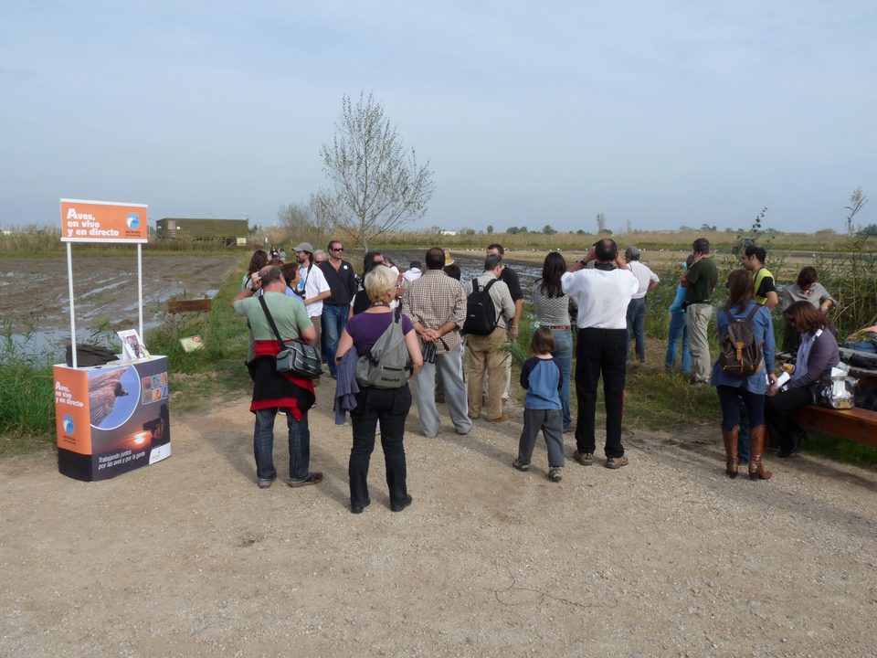 Grupo de visitantes ante un estand de SEO/BirdLife junto a los arrozales