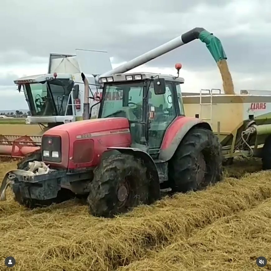 Captura de una publicación de Instagram: tractor y cosechadora durante la siega del arroz