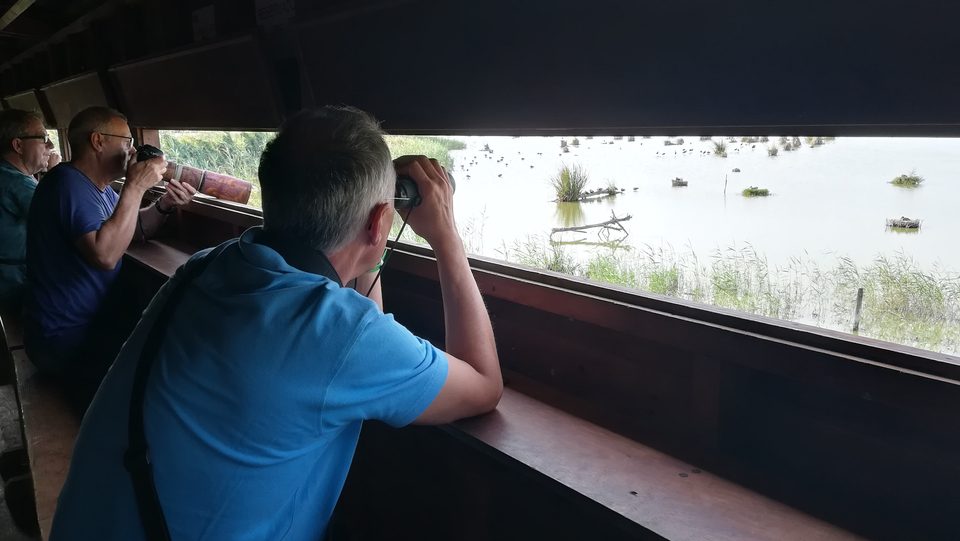 Visitantes con prismáticos observando aves desde un observatorio