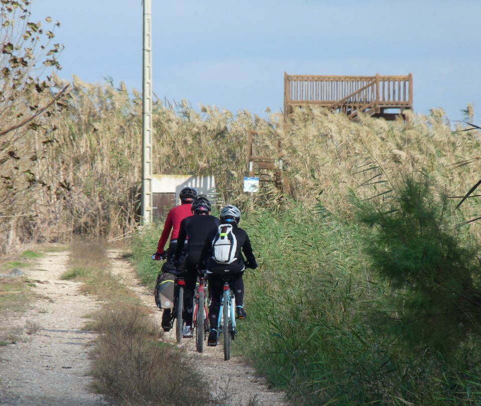 Ciclistas en un camino entre carrizos junto a un observatorio de aves