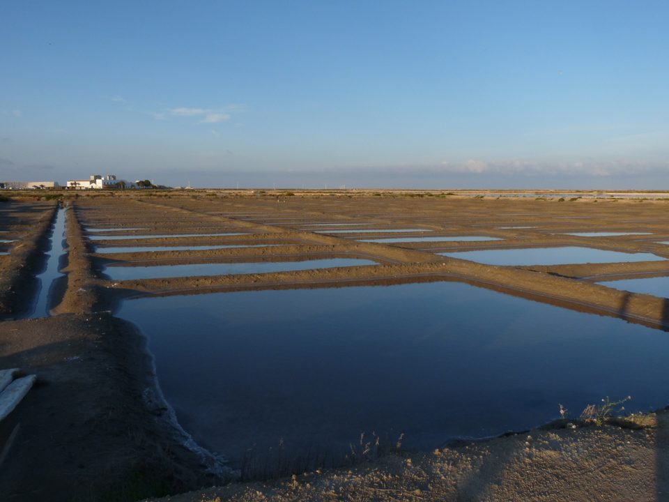 Balsas de las salinas en la Punta de la Banya