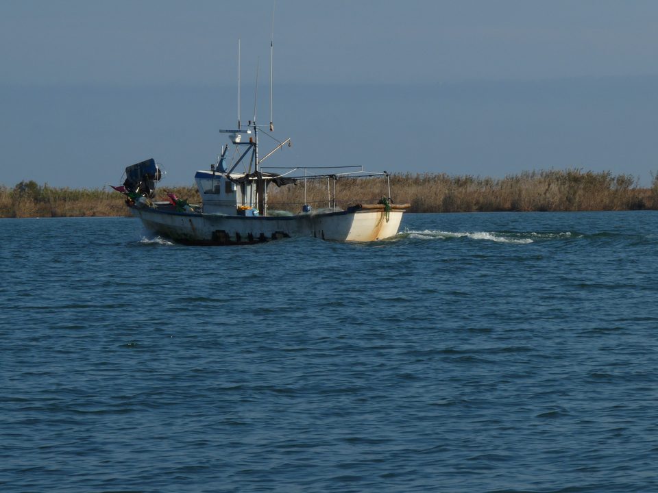 Barco de pesca navegando por el río Ebro cerca de la desembocadura