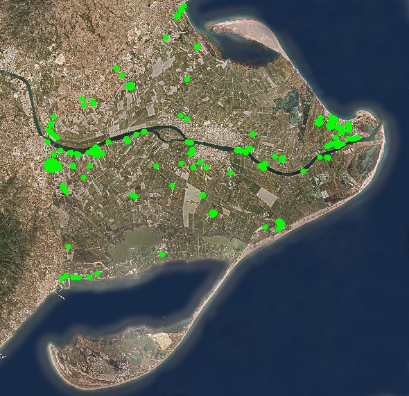 Mapa del Delta con las localizaciones de hierba de la Pampa en 2024