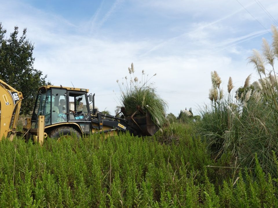 Excavadora retirando hierba de la Pampa