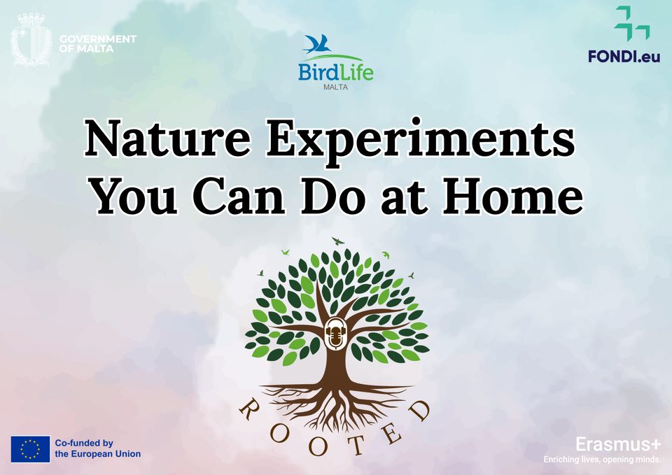 Title card: Nature Experiments You Can Do at Home