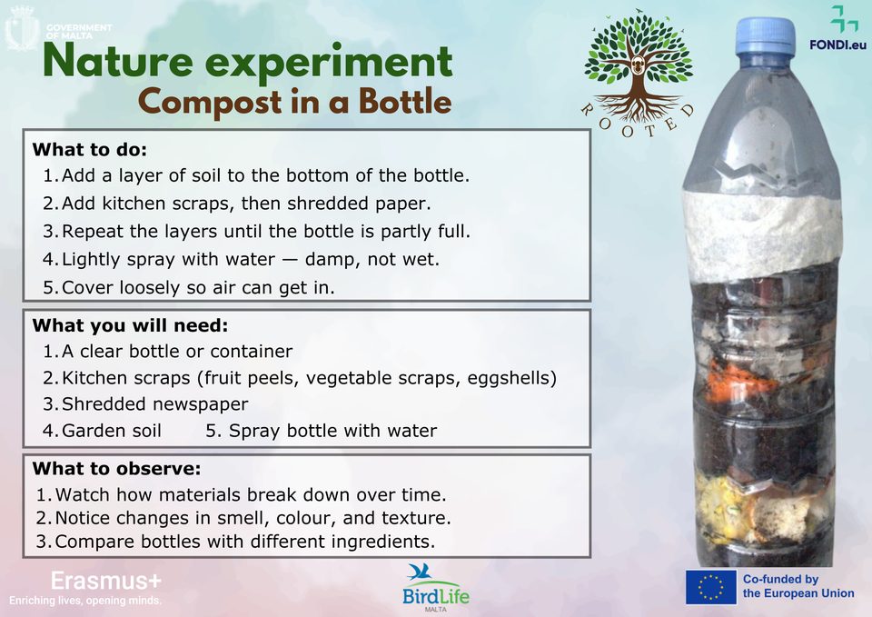 Activity card: Nature experiment – Compost in a Bottle (what to do, what you will need, what to observe)