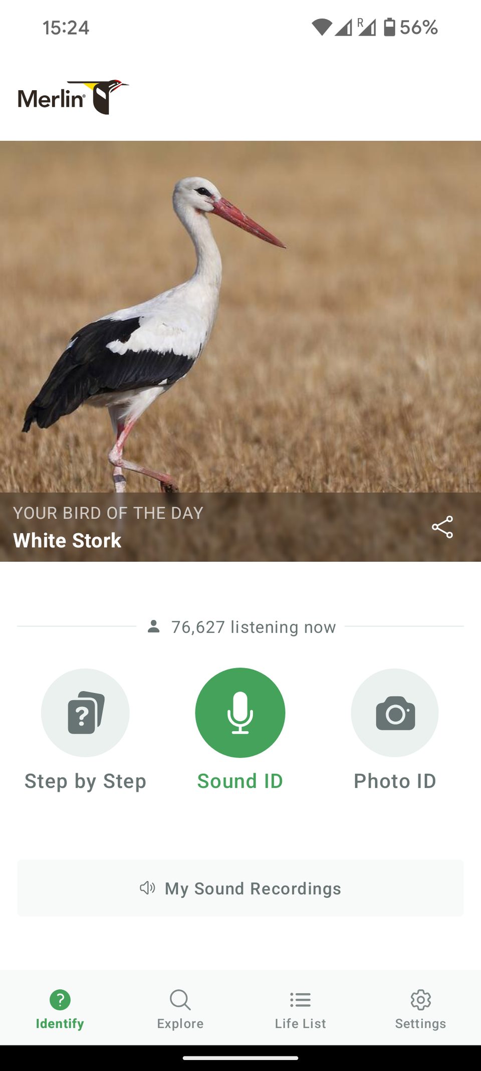 Screenshot of the Merlin Bird ID app showing a white stork