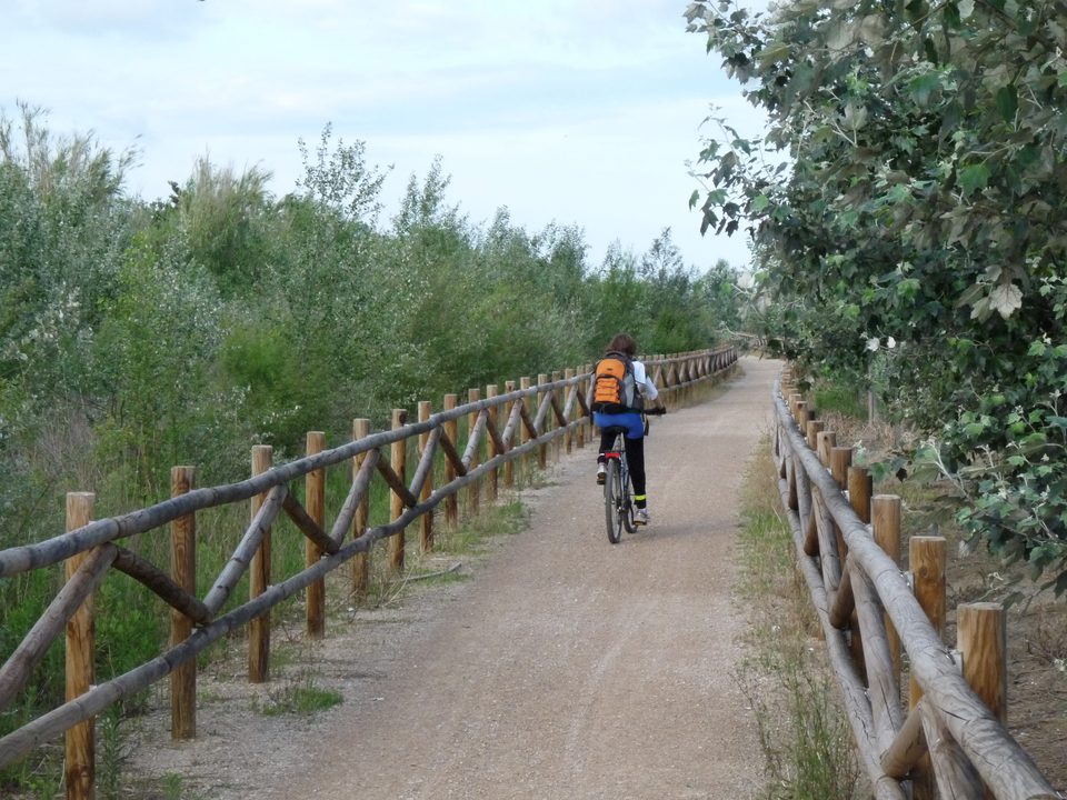 Ciclista en el carril bici vallado del Delta