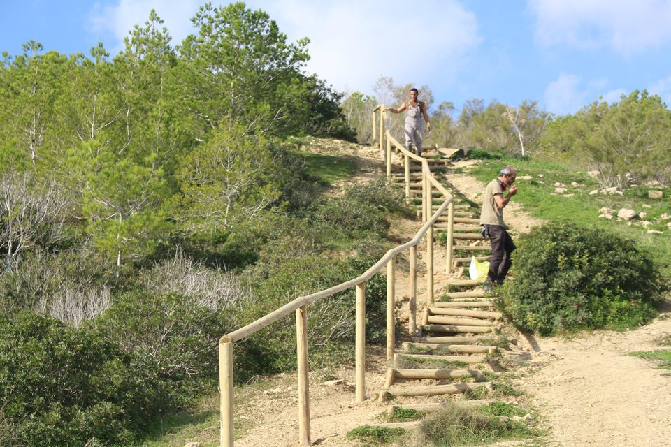 Workers fitting a wooden handrail along steps on a slope