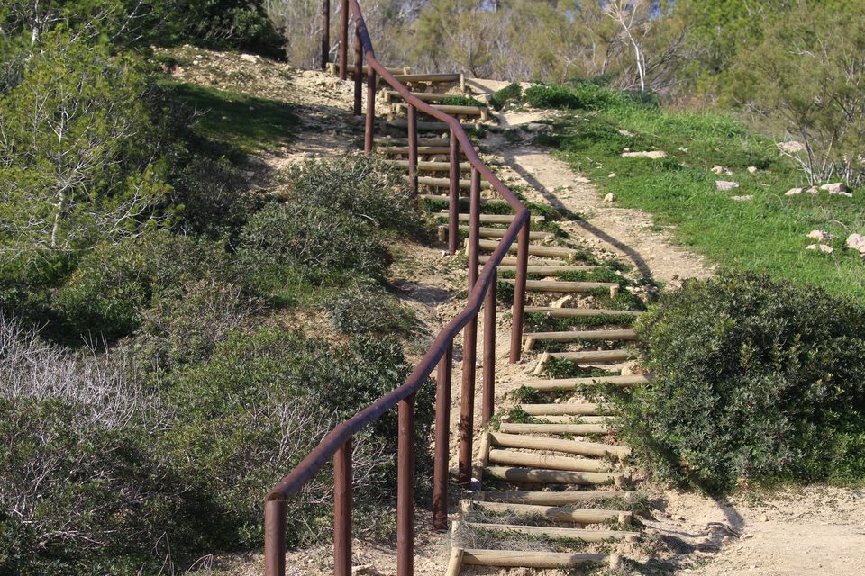 Steps up a green slope with a newly painted handrail