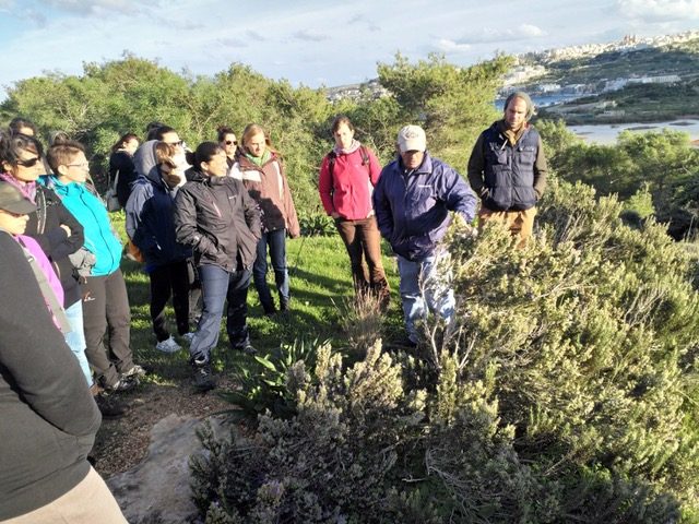A group of visitors listening to a guide among shrubs