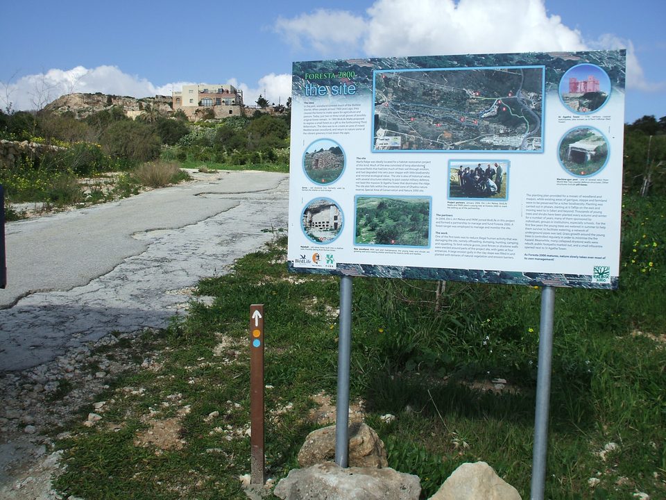 An information board beside a bare path with no trees yet