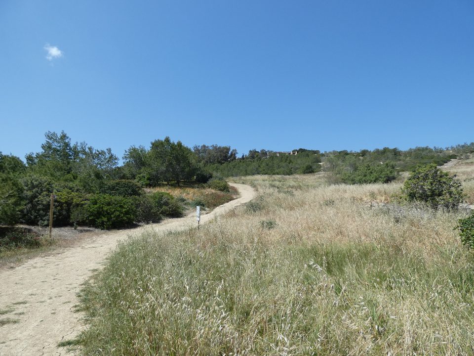 A path winding through grassland and woodland under a blue sky