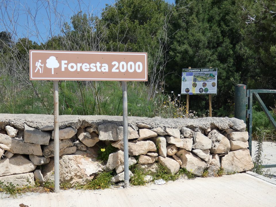A Foresta 2000 sign and an information board at the entrance