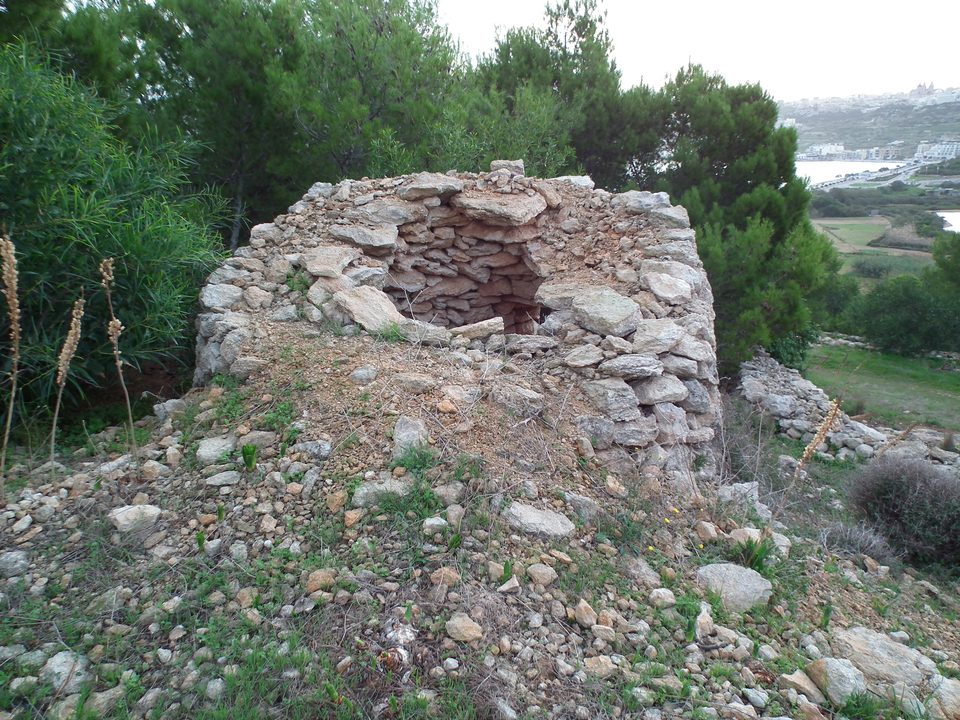 A partly collapsed round stone hut (girna) among shrubs