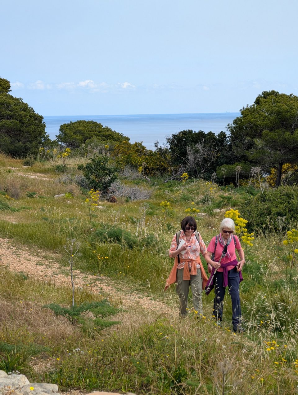 Two walkers on a path through green scrub near the sea