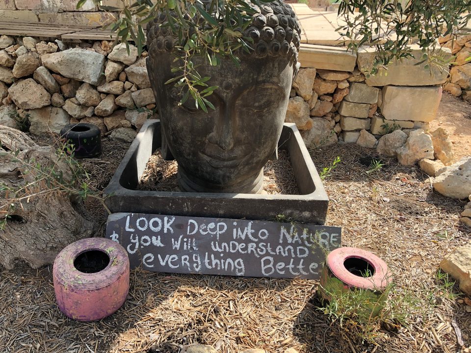 A stone head in a garden with a chalk sign: Look deep into nature and you will understand everything better