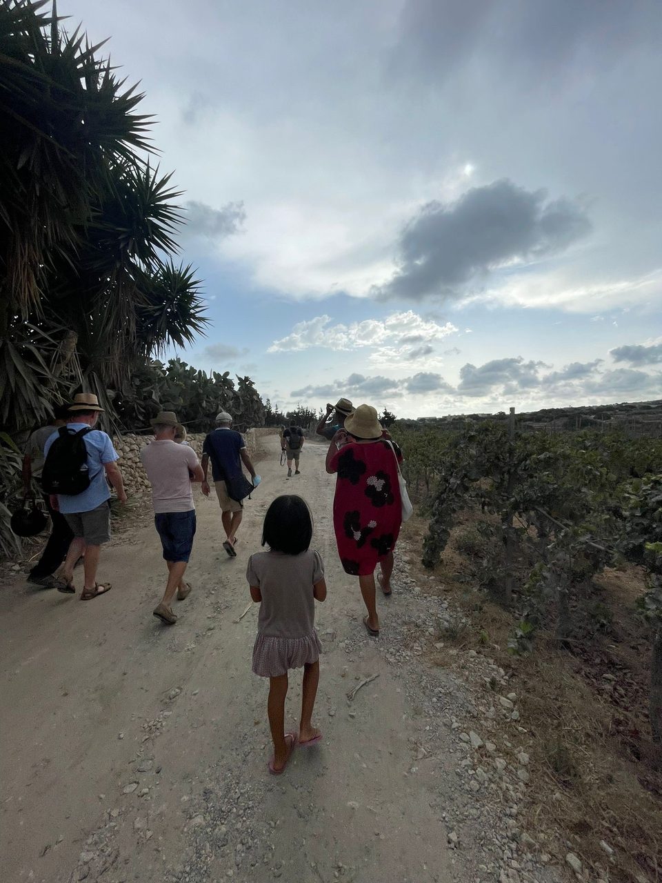 A group walking along a country track