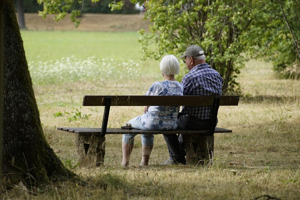 An older couple sitting on a bench under a tree in a park