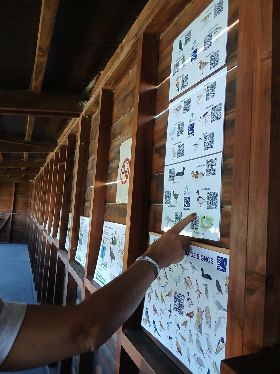 Mano que señala los paneles de identificación de aves en un observatorio