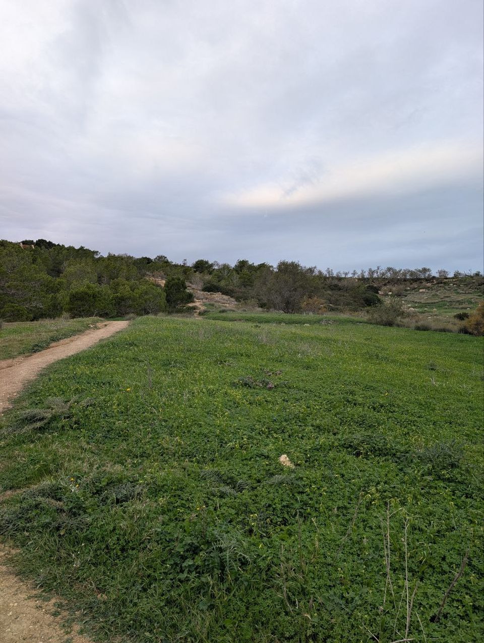 Green grassland and a path at Foresta 2000 under a cloudy sky