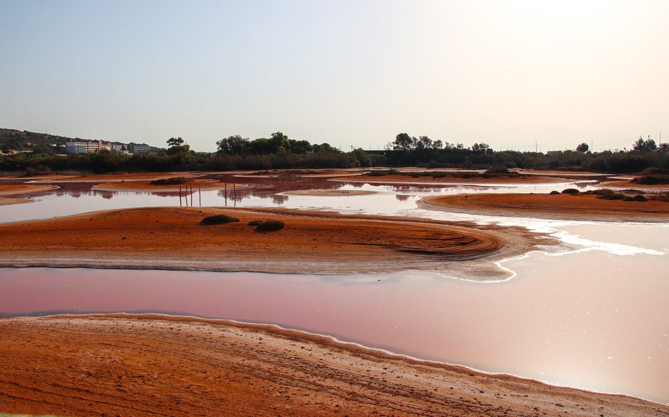 Shallow reddish water and mudflats at Għadira Nature Reserve