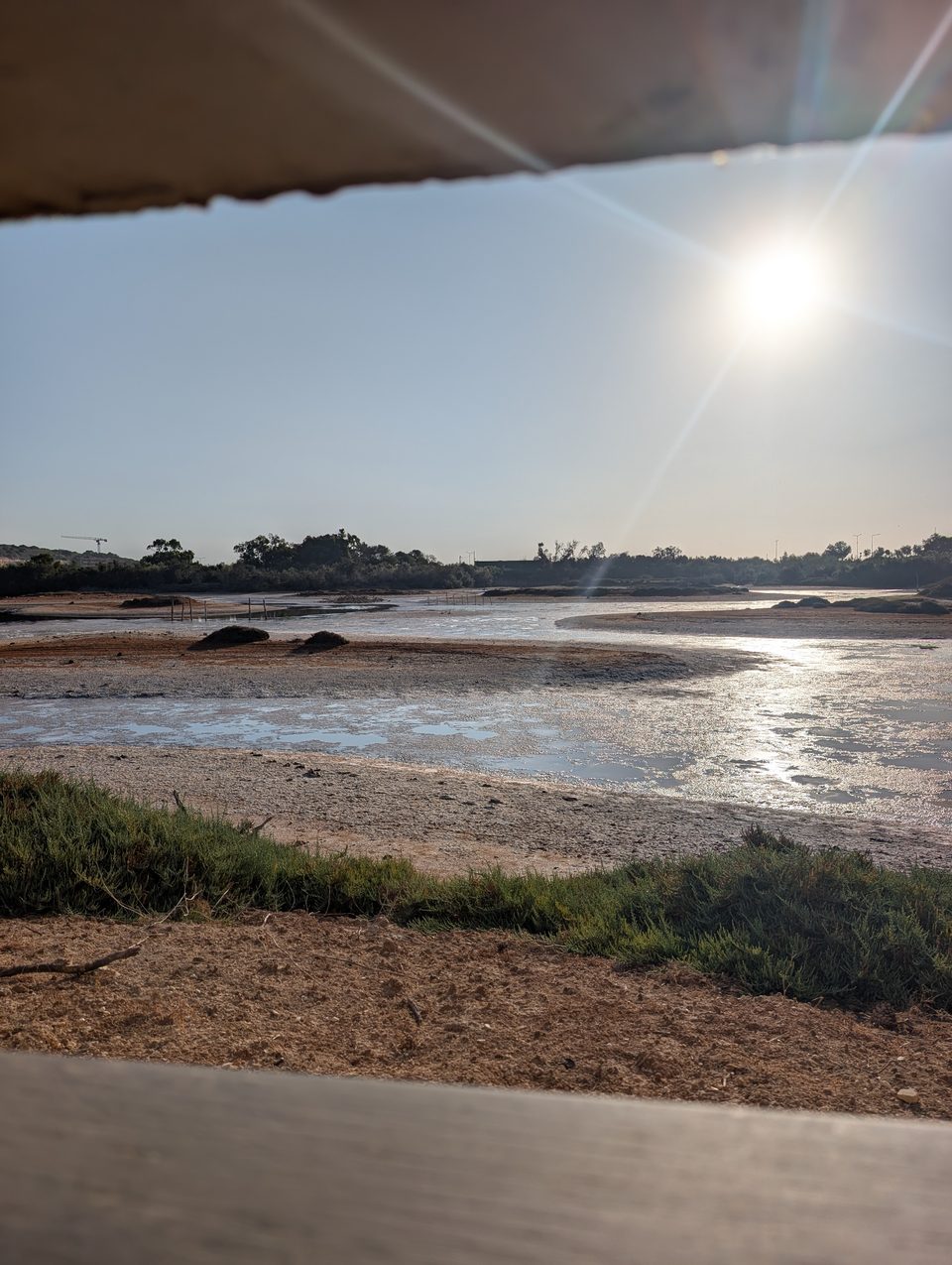 The low sun over the shallow water of Għadira, seen from a hide