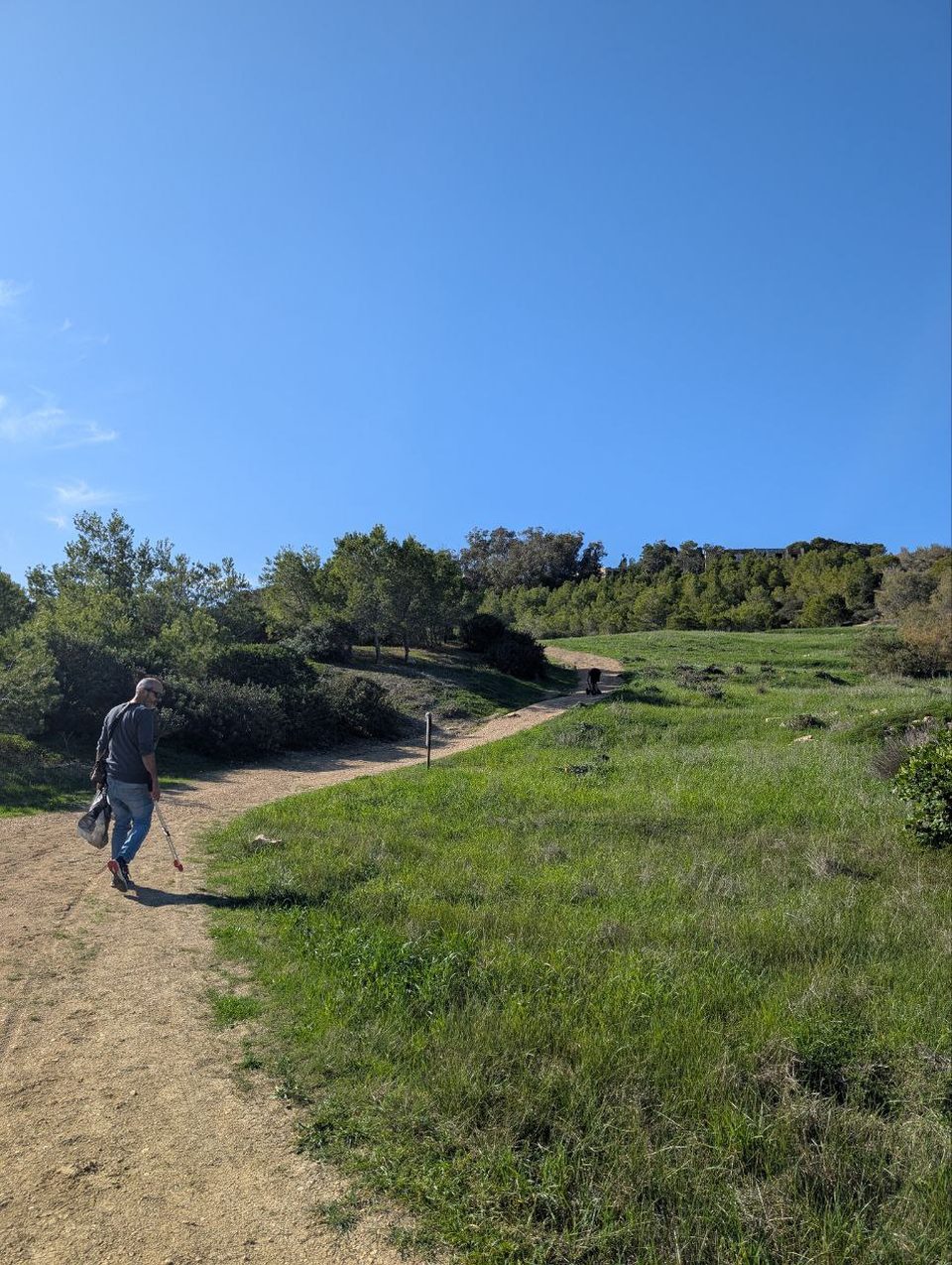 A walker on a path through green grass at Foresta 2000