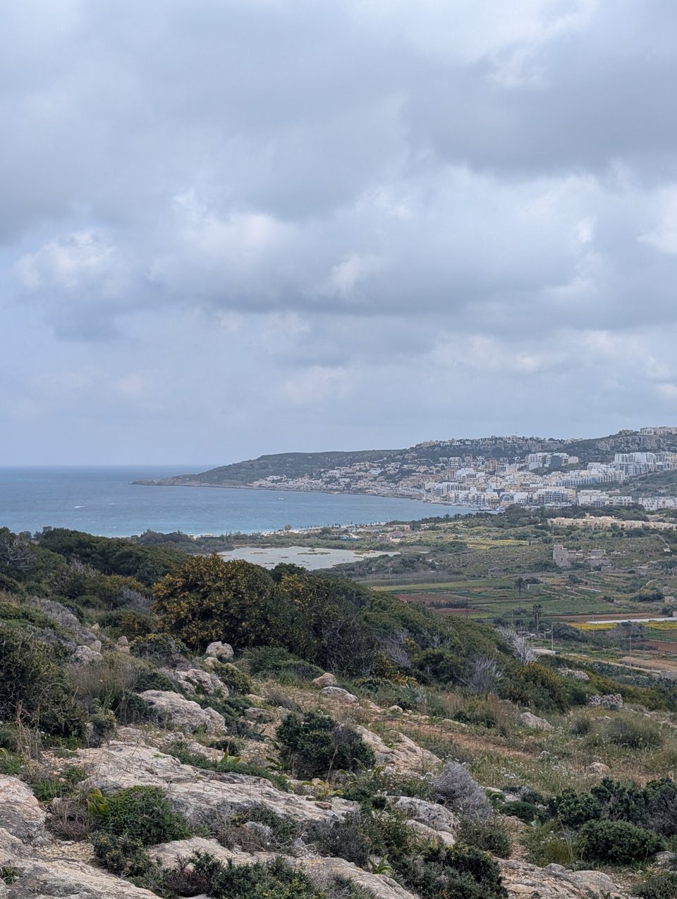 Rocky garrigue with green shrubs above a bay and a town