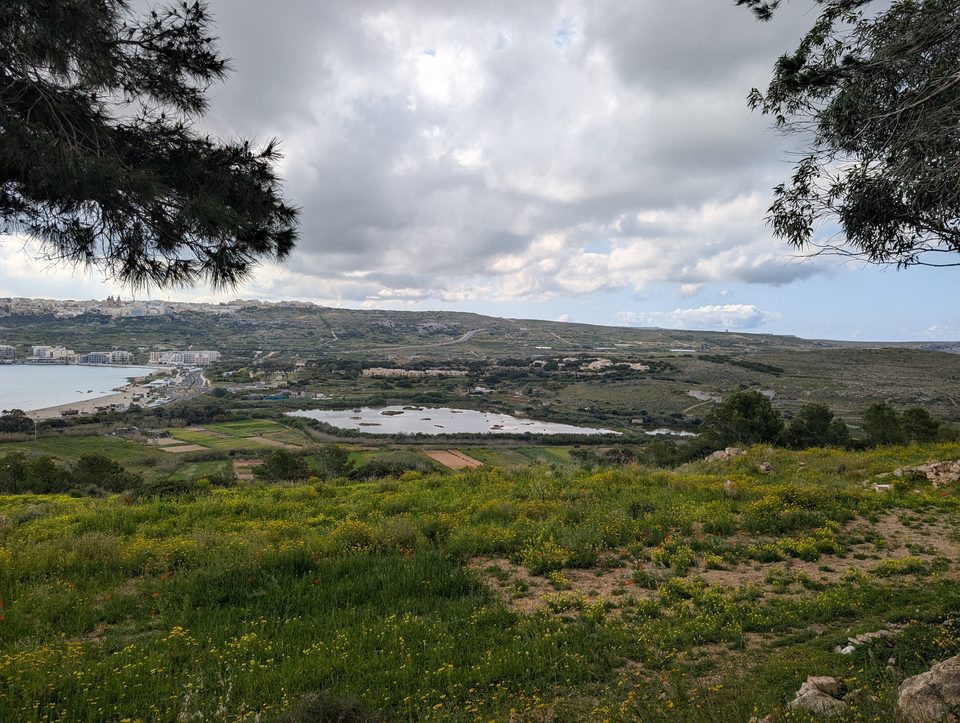 Green fields and the Għadira wetland seen from a hill