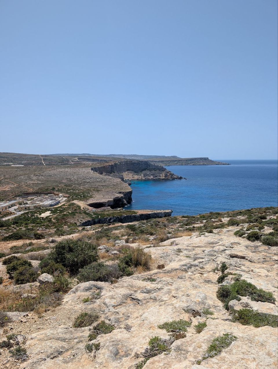Dry rocky garrigue on a coastal plateau above the sea