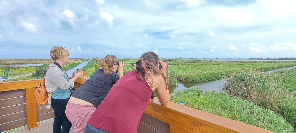Tres mujeres observan aves desde una plataforma de madera sobre los arrozales