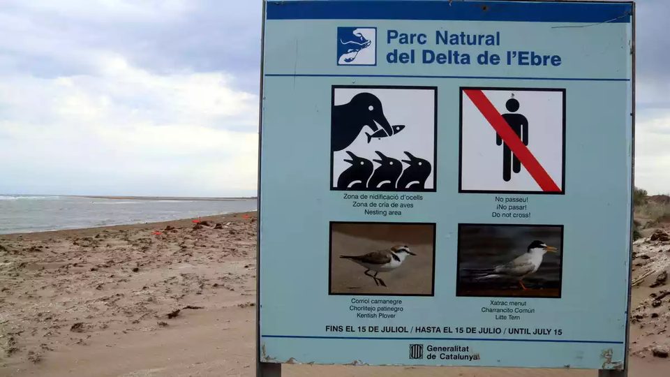 Cartel del Parc Natural del Delta de l’Ebre en la playa: zona de nidificación, prohibido el acceso con perros