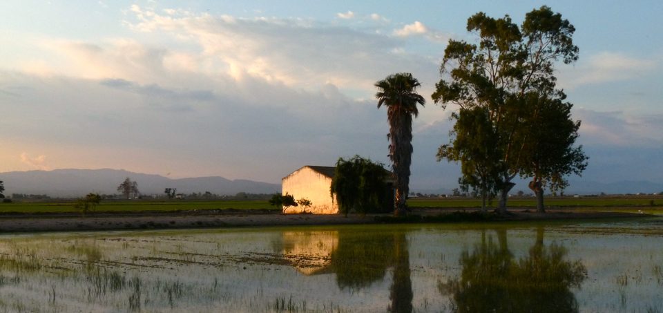 Panorámica de una casa entre arrozales inundados al atardecer