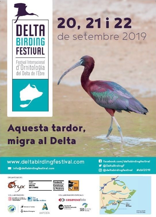 Cartel del Delta Birding Festival, 20-22 de septiembre de 2019