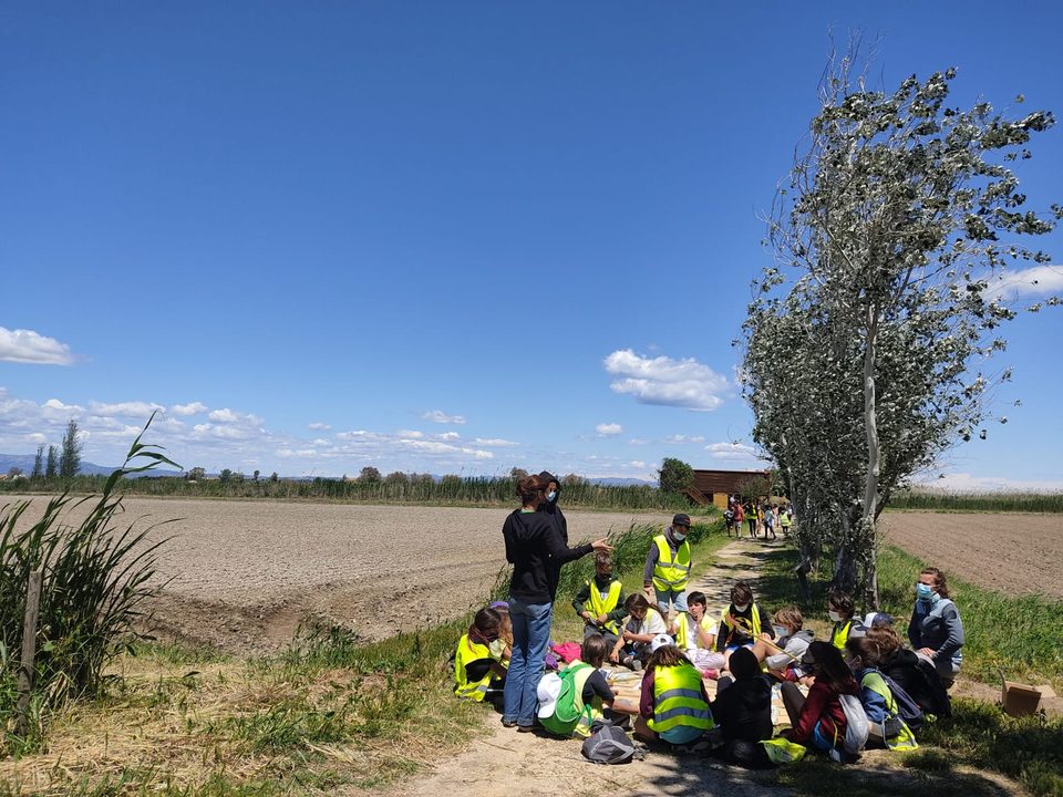 Grupo escolar sentado en un camino entre campos