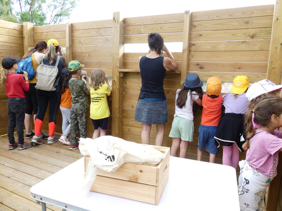 Niños mirando por las ventanas de un observatorio de madera
