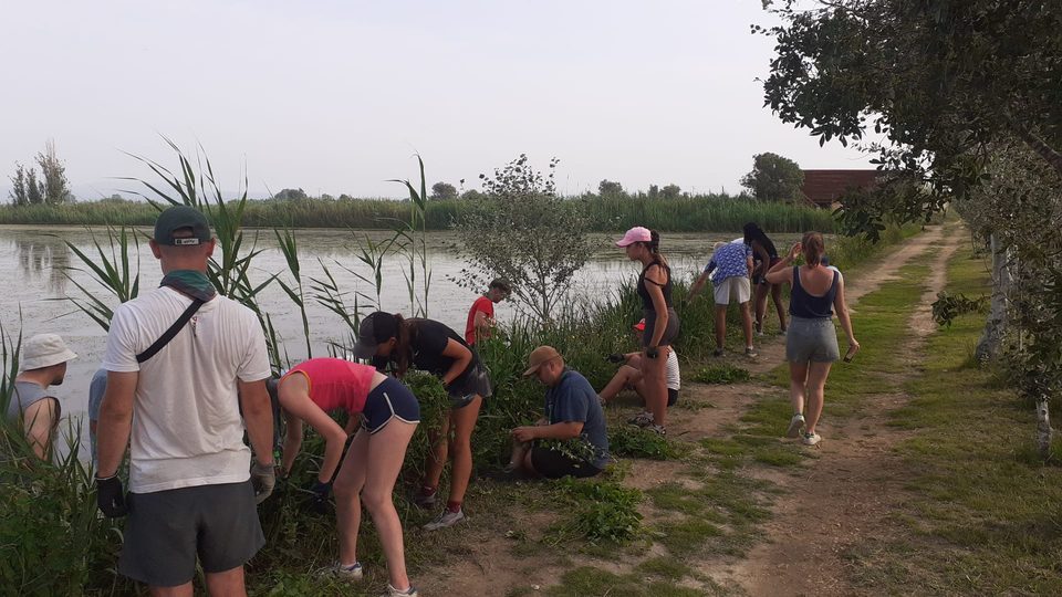 Voluntarios quitando vegetación junto a un camino
