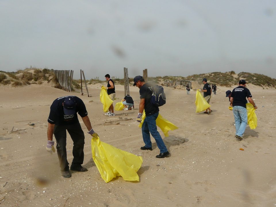 Voluntarios recogiendo basura en la playa con bolsas amarillas