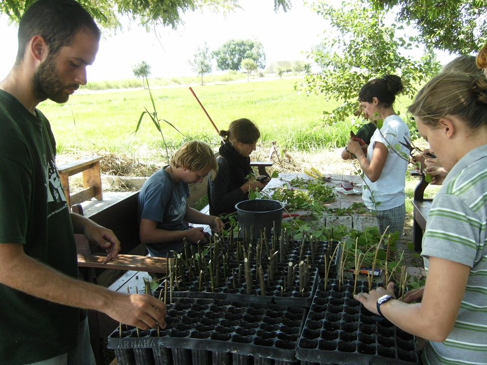 Niños y adultos plantando plantones en una mesa