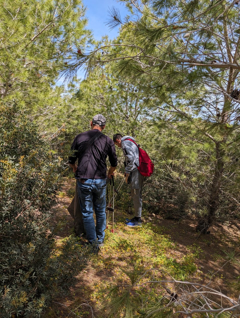 Two people working among trees and shrubs