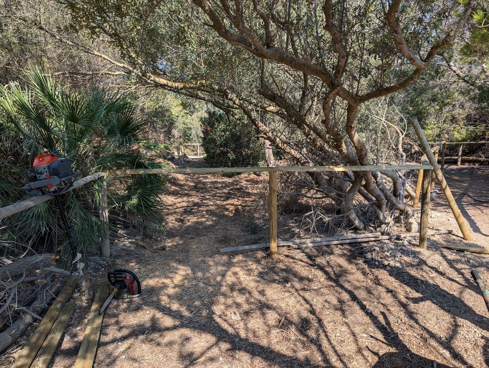 New wooden fencing among trees and palms