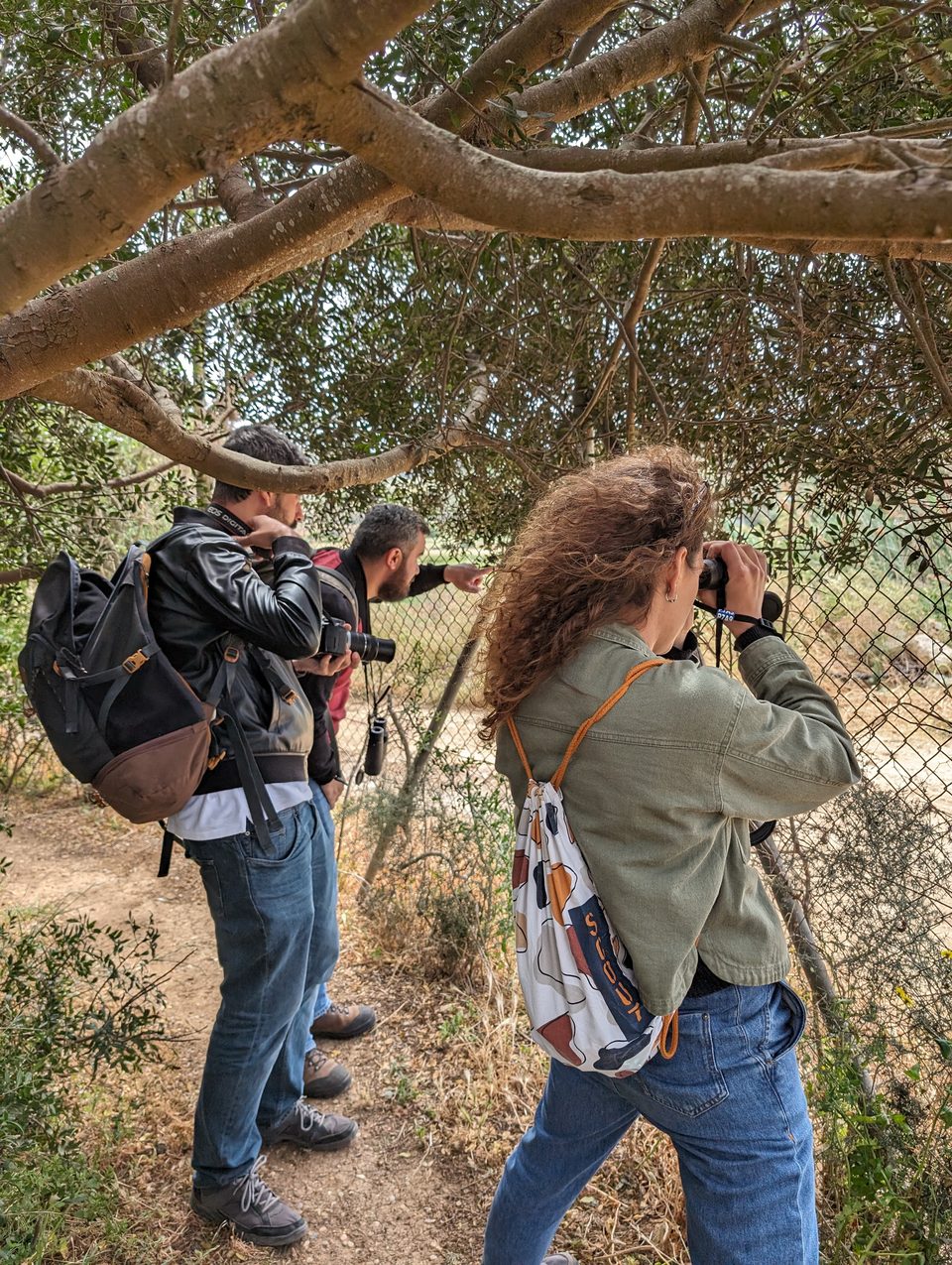 Two people watching and photographing birds under trees