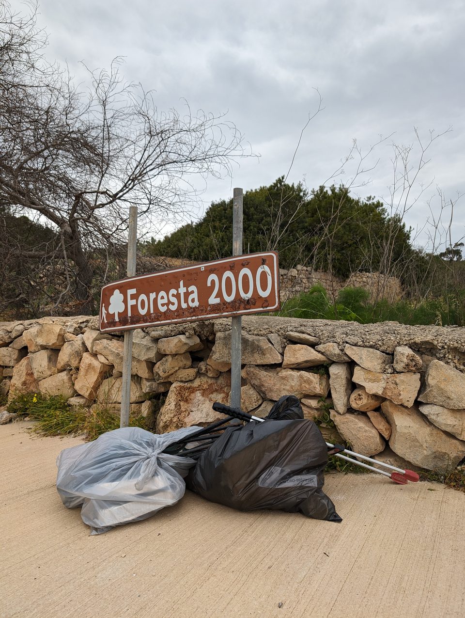 Rubbish bags next to the Foresta 2000 sign