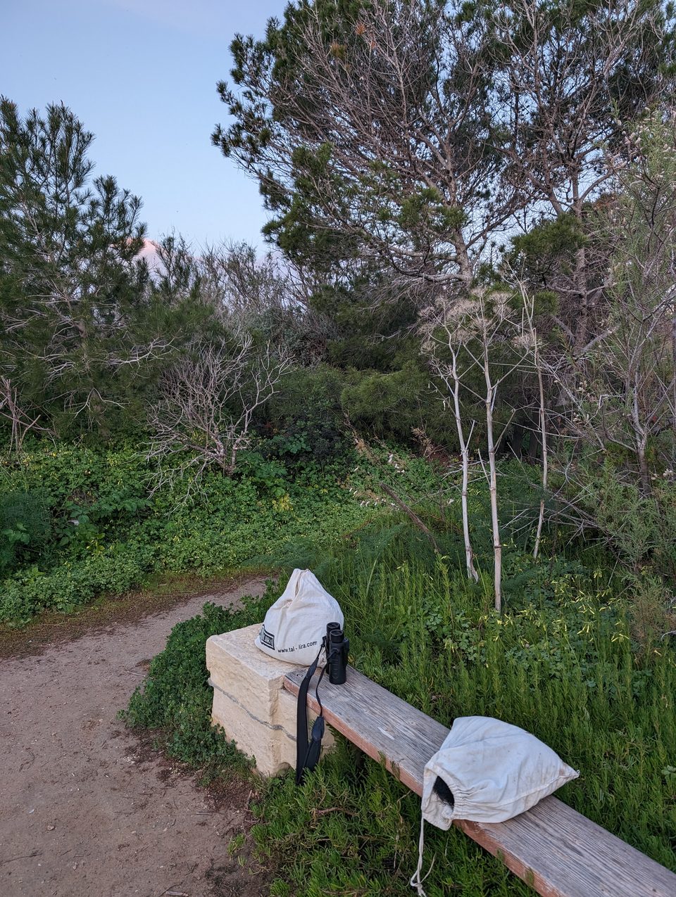 Tools and bags beside a bench on a woodland path