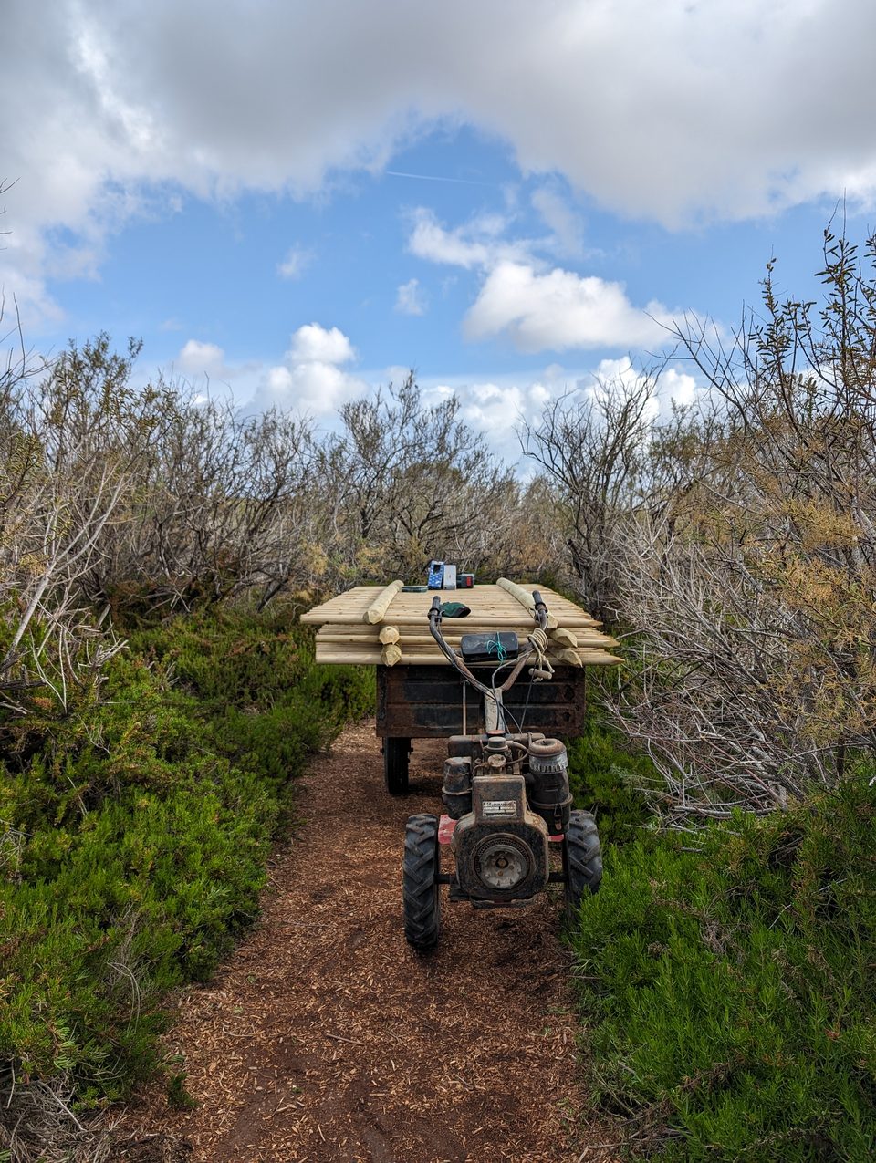 A motorised wheelbarrow on a path through scrub