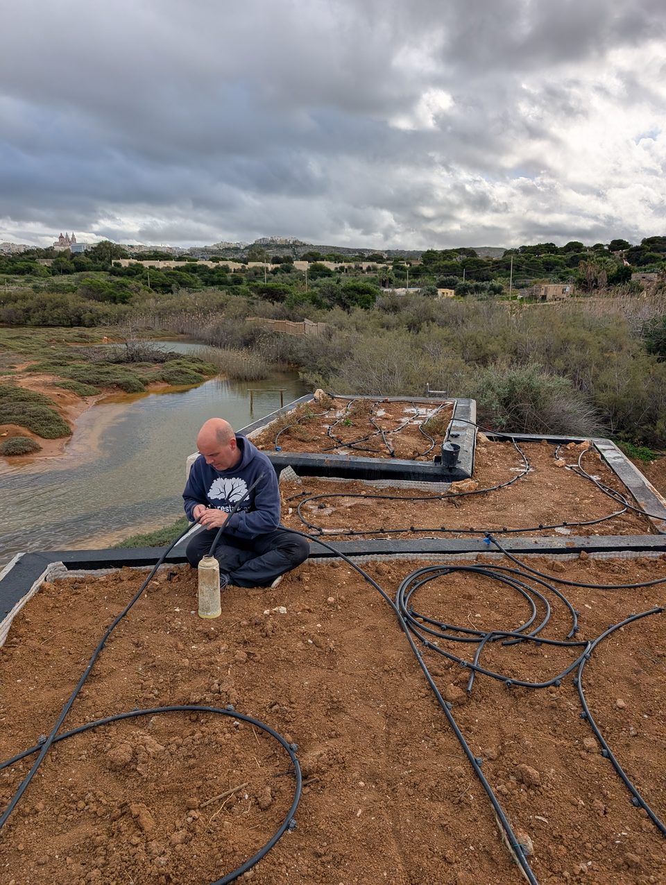 A worker preparing a raised planting bed beside a wetland