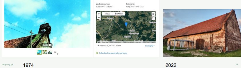 Przykład zapisu obserwacji w iNaturalist: zdjęcie bociana białego na słupie z gniazdem (1974), mapa miejsca obserwacji i zdjęcie stodoły (2022)