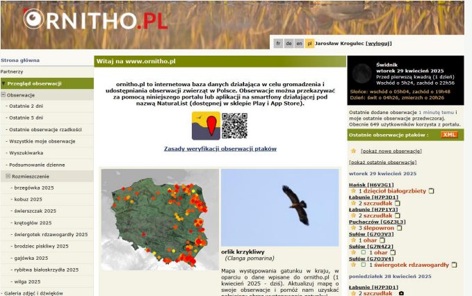 Strona główna portalu ornitho.pl z mapą występowania orlika krzykliwego w Polsce i listą ostatnich obserwacji